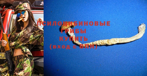 дурь Алзамай