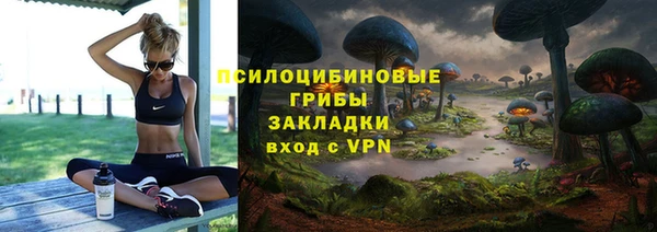 дурь Алзамай