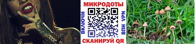 Псилоцибиновые грибы Psilocybine cubensis  Котельники 