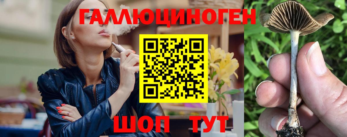 Псилоцибиновые грибы MAGIC MUSHROOMS Котельники